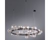 Подвесная люстра Arte Lamp Vincent A7790SP-24BK