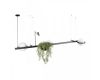 Подвесной светильник Loft IT Jardin 10121/C