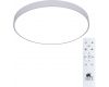 Потолочный светодиодный светильник Arte Lamp Arena A2671PL-1WH