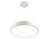 Подвесной светодиодный светильник Odeon Light Sole 4066/50L