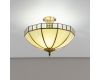 Потолочный светильник Citilux Шербург-1 CL440141