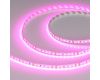 Светодиодная лента Arlight RT-A120-8mm 24V Magenta (9.6 W/m, IP20, 2835, 5m) 043381