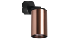 Встраиваемый спот Lightstar Rullo RB430 (214430+590007)