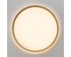 Накладной светильник Citilux Etalon CL750320R