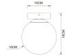 Настенно-потолочный светильник Arte Lamp Alcor A2224PL-1BK