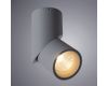 Накладной светильник ARTE Lamp A7717PL-1GY