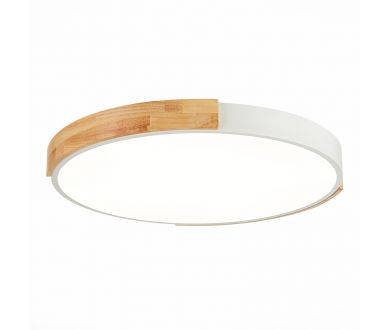 Купить Потолочный светильник Evoluce Delia SLE201352-01 Потолочный светильник Evoluce Delia SLE201352-01