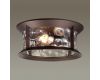 Уличный потолочный светильник Odeon Light Mavret 4961/2C