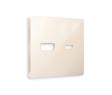 Купить Лицевая панель для розетки 2USB тип A+C Ambrella Volt Alfa AP3110 Лицевая панель для розетки 2USB тип A+C Ambrella Volt Alfa AP3110