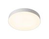 Потолочный светильник Citilux Bart CL755490