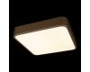 Потолочный светильник Loft IT Flims 10228/C