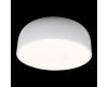 Потолочный светильник Loft IT Axel 10201/480 White