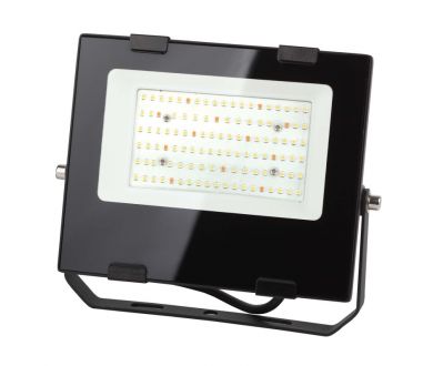 Купить Фитопрожектор для растений ЭРА FITO-50W-Ra90-LED Б0047875 Фитопрожектор для растений ЭРА FITO-50W-Ra90-LED Б0047875