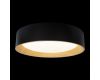 Потолочный светильник Loft IT Coin 10202 Black