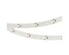 Светодиодная лента Arlight RZ-A160-15mm 24V White6000 (19.2 W/m, IP20, 2835, 5m) 036016