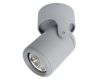 Спот Arte Lamp A3316PL-1GY