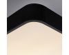 Потолочный светильник Arte Lamp A2663PL-1BK