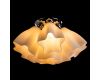 Потолочная люстра Arte Lamp 17 A3469PL-6CC