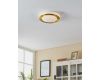 Потолочный светильник Eglo Led Carpi 900369