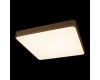 Потолочный светильник Loft IT Flims 10228/D