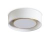 Потолочный светильник Freya Cozy FR6170CL-L52BS