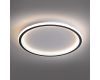 Потолочный светодиодный светильник Feron Ring AL5800 41557