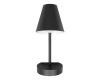 Бра Loft IT Shelf 10216/1W Black
