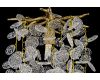 Подвесная люстра Dio DArte Elite Tavenna H 1.5.21.102 A