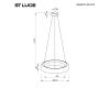Подвесная люстра ST Luce Foray SL6019.333.01