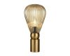 Настольная лампа Odeon Light Elica 5402/1T
