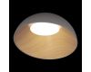 Потолочный светильник Loft IT Egg 10197/500 Grey