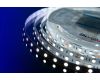 Светодиодная лента DesignLed DSG560-12-W-33 000513