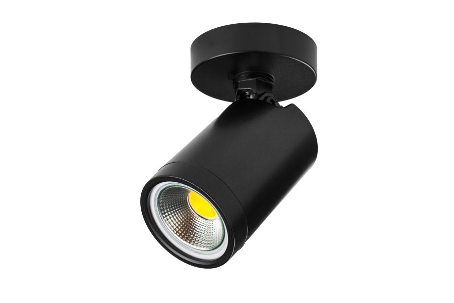 Спот Lightstar Rullo 213407