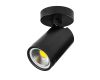 Спот Lightstar Rullo 213407