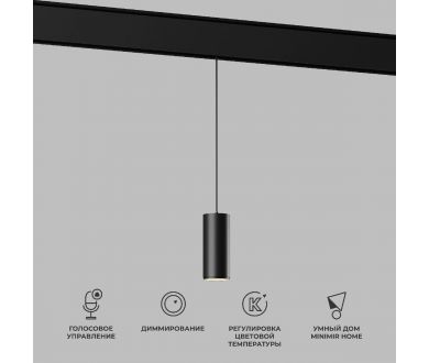 Купить Трековый магнитный светильник Elektrostandard Slim Magnetic 4690389195327 a063533 Трековый магнитный светильник Elektrostandard Slim Magnetic 4690389195327 a063533