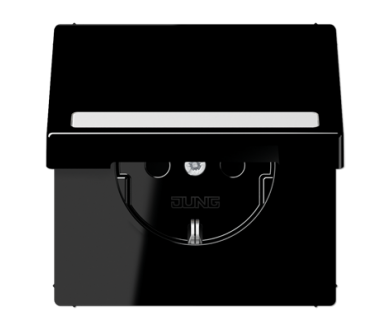 Купить Розетка Schuko с крышкой Jung LS1520BFNAKLSW Розетка Schuko с крышкой Jung LS1520BFNAKLSW