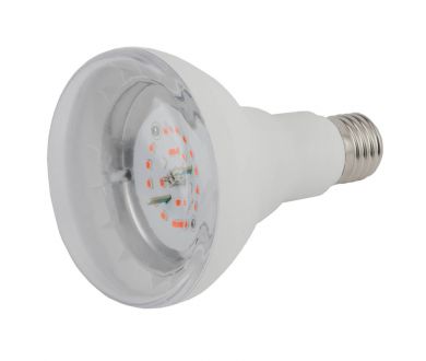 Купить Фитолампа для растений светодиодная ЭРА E27 16W 1310K FITO-16W-RB-E27-K Б0039072 Фитолампа для растений светодиодная ЭРА E27 16W 1310K FITO-16W-RB-E27-K Б0039072