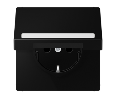 Купить Розетка Schuko с крышкой Jung LS1520BFNAKLSWM Розетка Schuko с крышкой Jung LS1520BFNAKLSWM