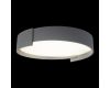 Потолочный светильник Loft IT Coin 10200 Grey