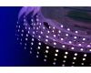 Светодиодная лента DesignLed DSG5120-24-RGB+W-33 000514