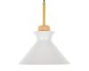 Подвесной светильник MyFar Kristina MR1352-1P