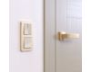 Рамка на 2 поста Werkel Platinum шампань 4690389184468 W0022611