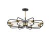 Люстра на штанге Lumion Comfi Almira 8058/8C