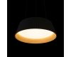 Подвесной светильник Loft IT Evans 10224P Black