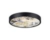 Настенно-потолочный светильник Odeon Light Bergi 5064/30L