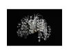 Настенный светильник  Aployt Danusia APL.846.01.03