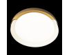 Потолочный светильник Loft IT Coin 10198 White