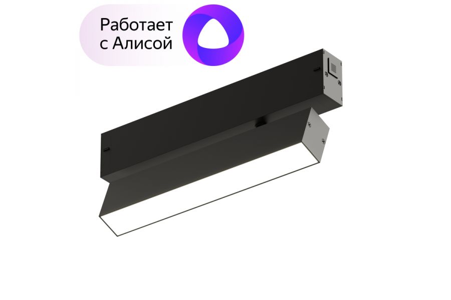 Трековый светильник Denkirs DK8009-BK