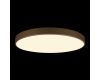 Потолочный светильник Loft IT Flims 10228/B