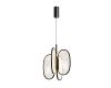 Подвесная люстра Odeon Light Piuma 6665/38L